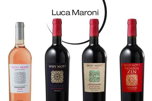Grande successo dei nostri vini WHY NOT? 15.0 alel degustazioni di Luca Maroni!
