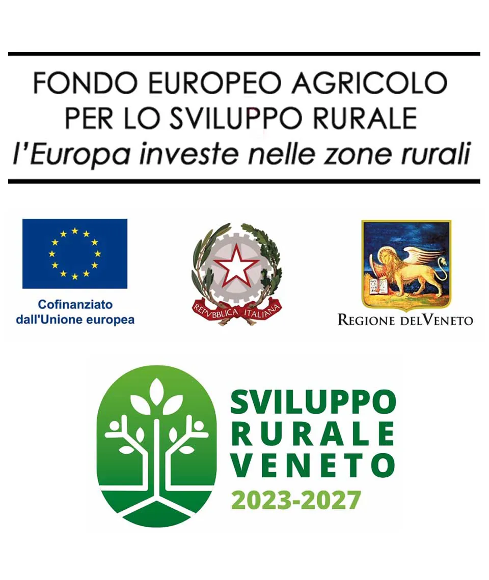 FONDO EUROPEO AGRICOLO PER LO SVILUPPO RURALE: l'Europa investe nelle zone rurali (Veneto)