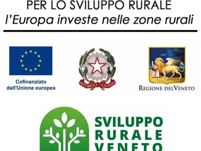 FONDO EUROPEO AGRICOLO PER LO SVILUPPO RURALE: l'Europa investe nelle zone rurali (Veneto)