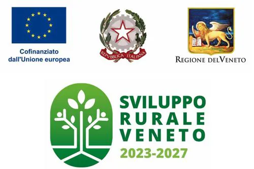 COMPLEMENTO REGIONALE PER LO SVILUPPO RURALE - DGR N. 1132 DEL 22/09/2025 - MISURA SRD.13.1. VITIV. 
