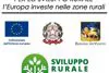 FONDO EUROPEO AGRICOLO PER LO SVILUPPO RURALE: l'Europa investe nelle zone rurali (Veneto)