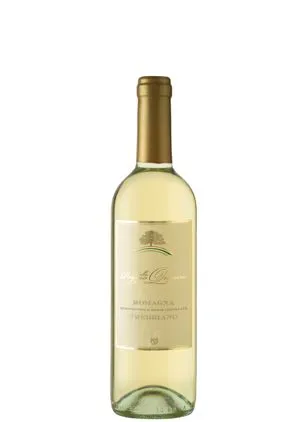 Trebbiano di Romagna DOC