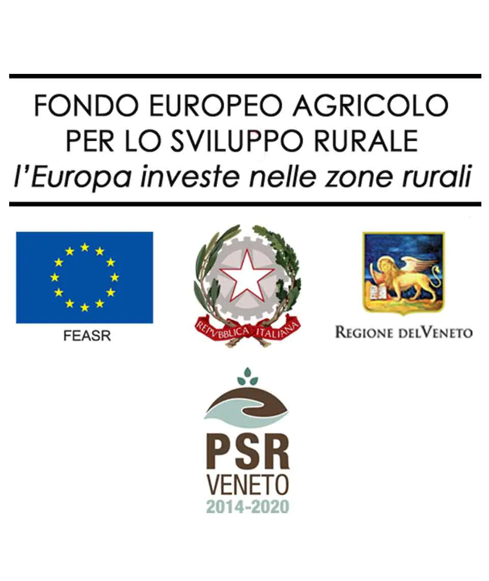 FONDO EUROPEO AGRICOLO PER LO SVILUPPO RURALE: l'Europa investe nelle zone rurali (Veneto)